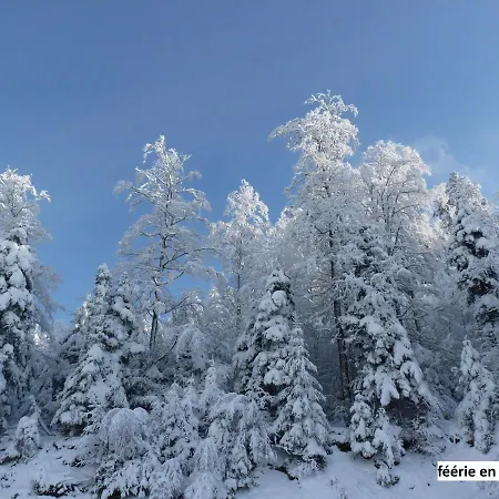 Chalet Le Bel Air Oderen