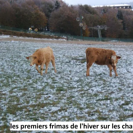 Le Bel Air Oderen