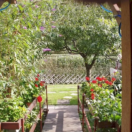 Le Bel Air Chalet Oderen